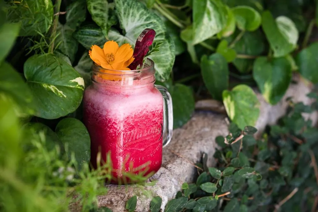 A botanical elixir served in a glass jar with an edible flower, set against tropical foliage